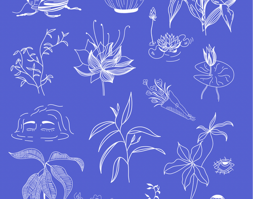 Je réserve un flash